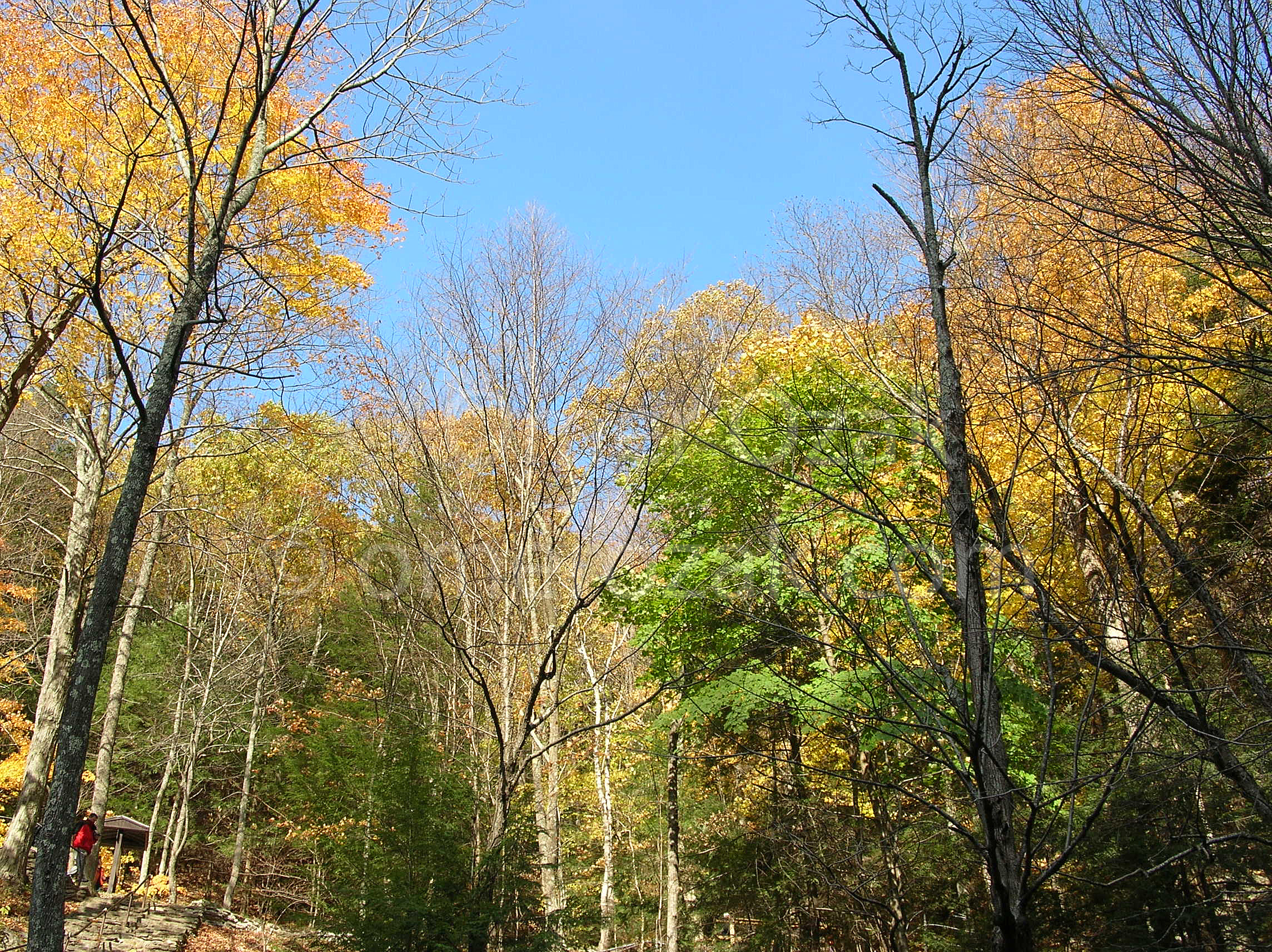 Fall in the Berkshires