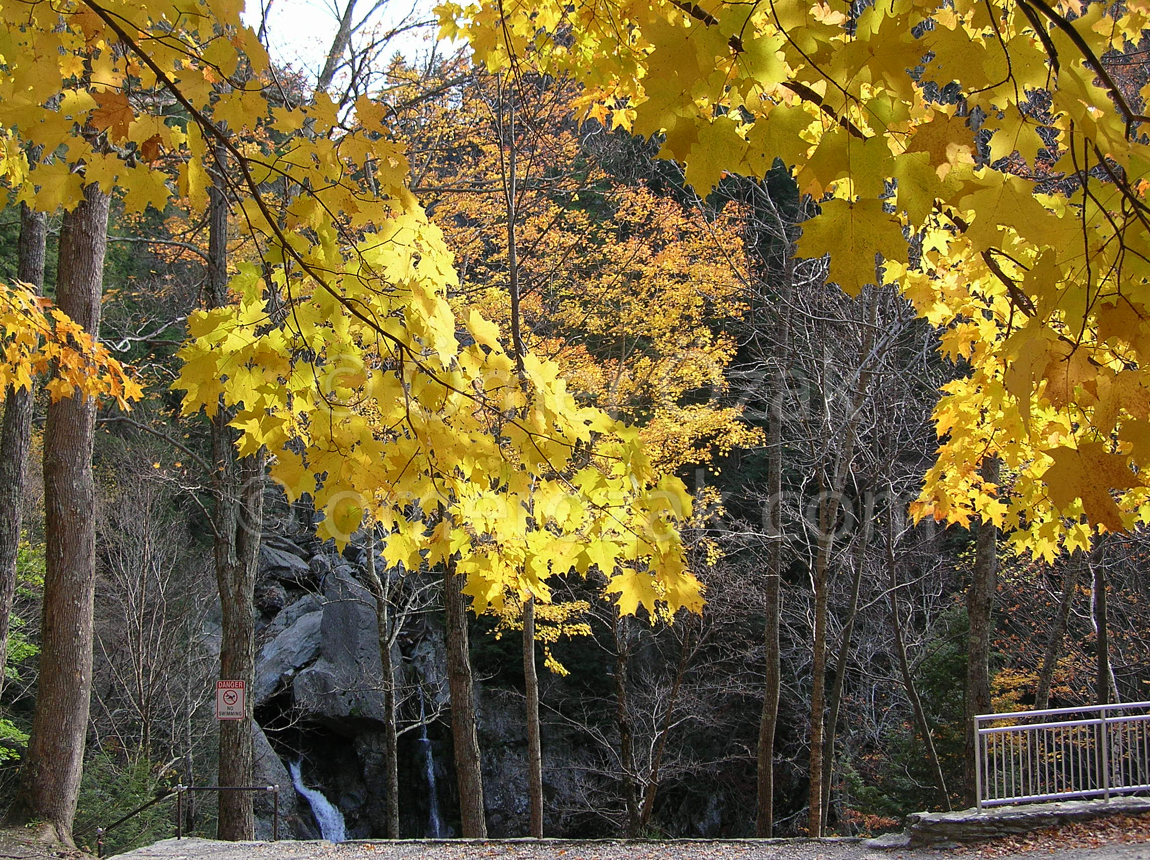 Fall in the Berkshires