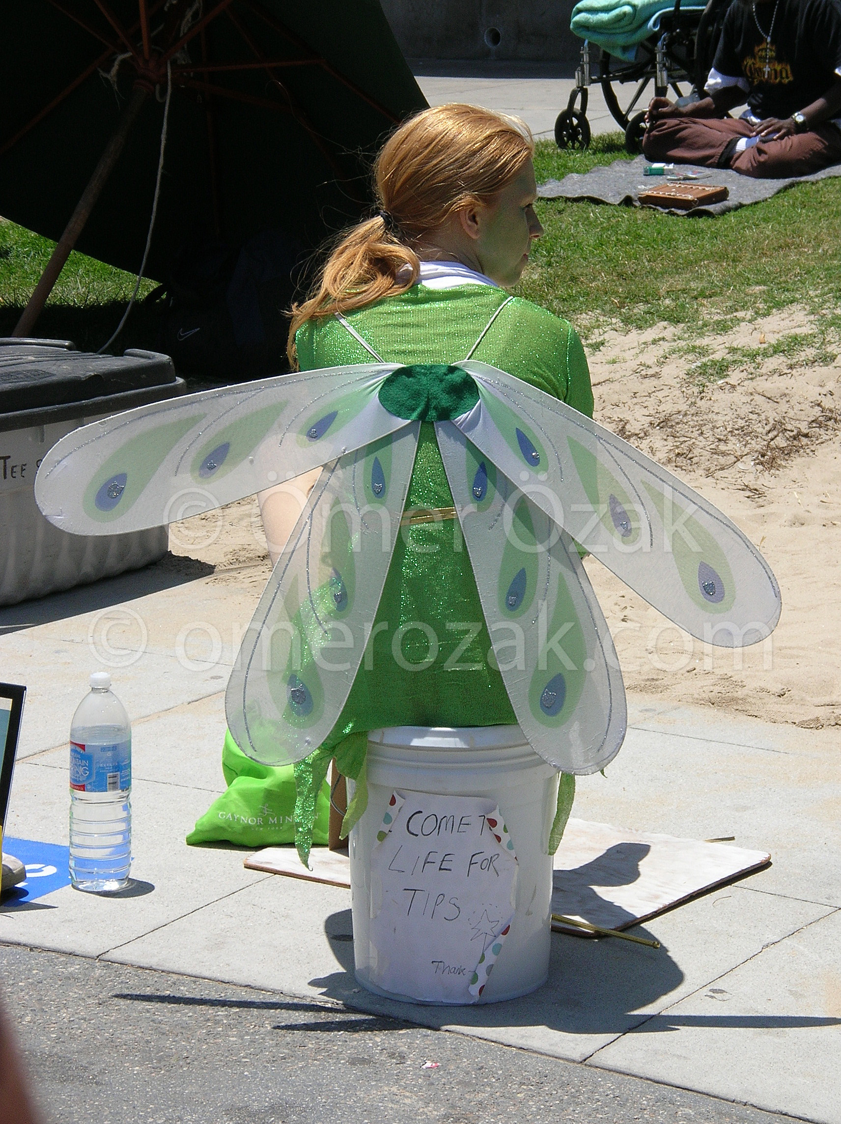 LA Fairy