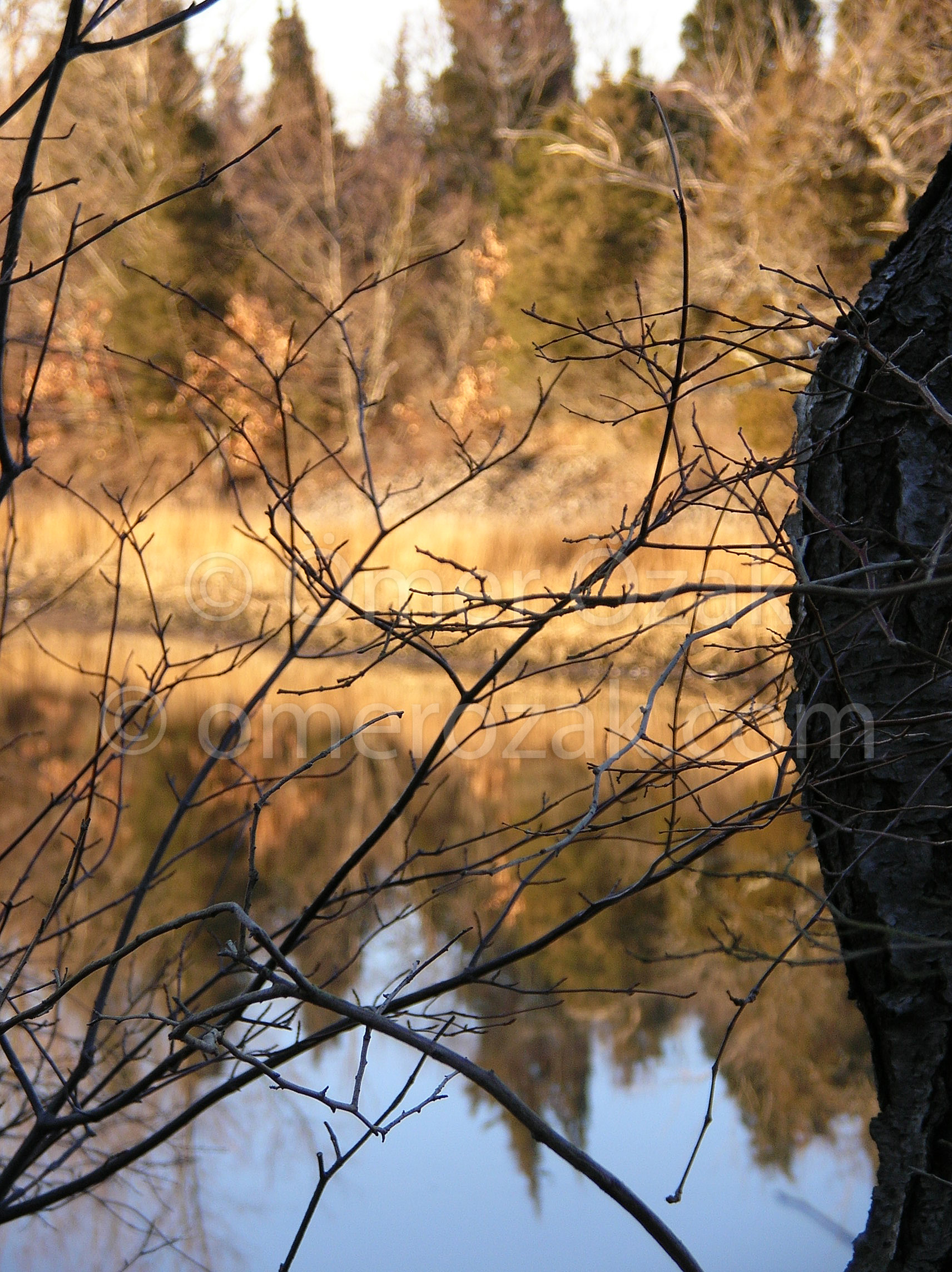 Lake