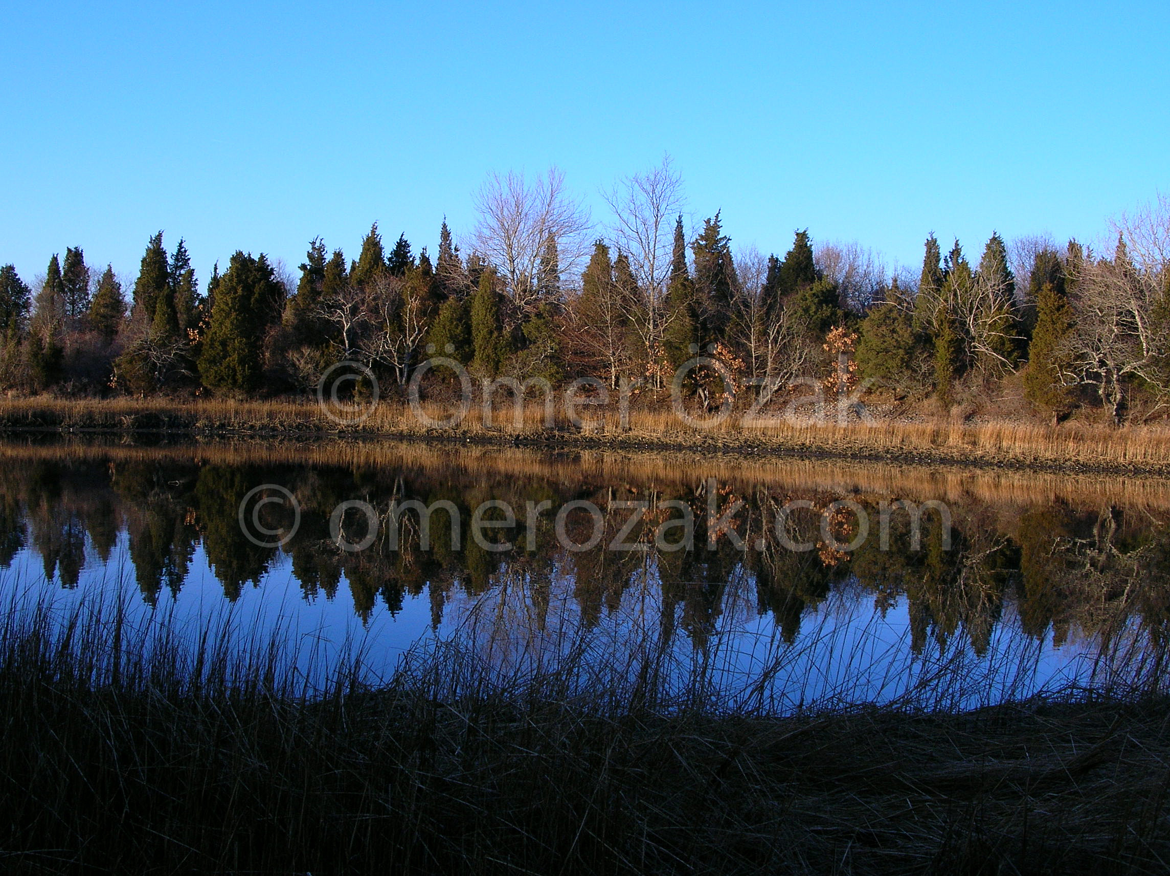 Lake