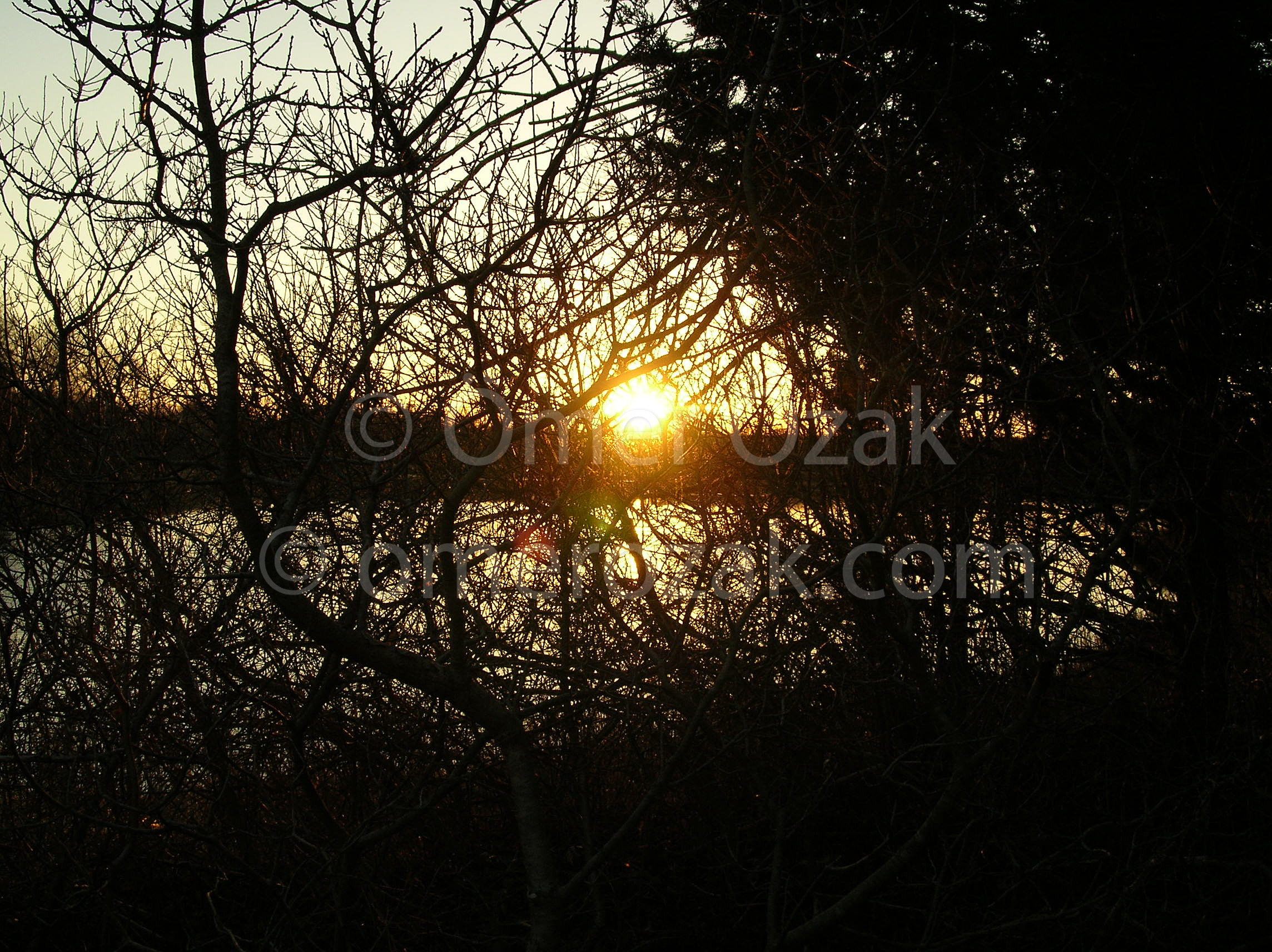 Lake