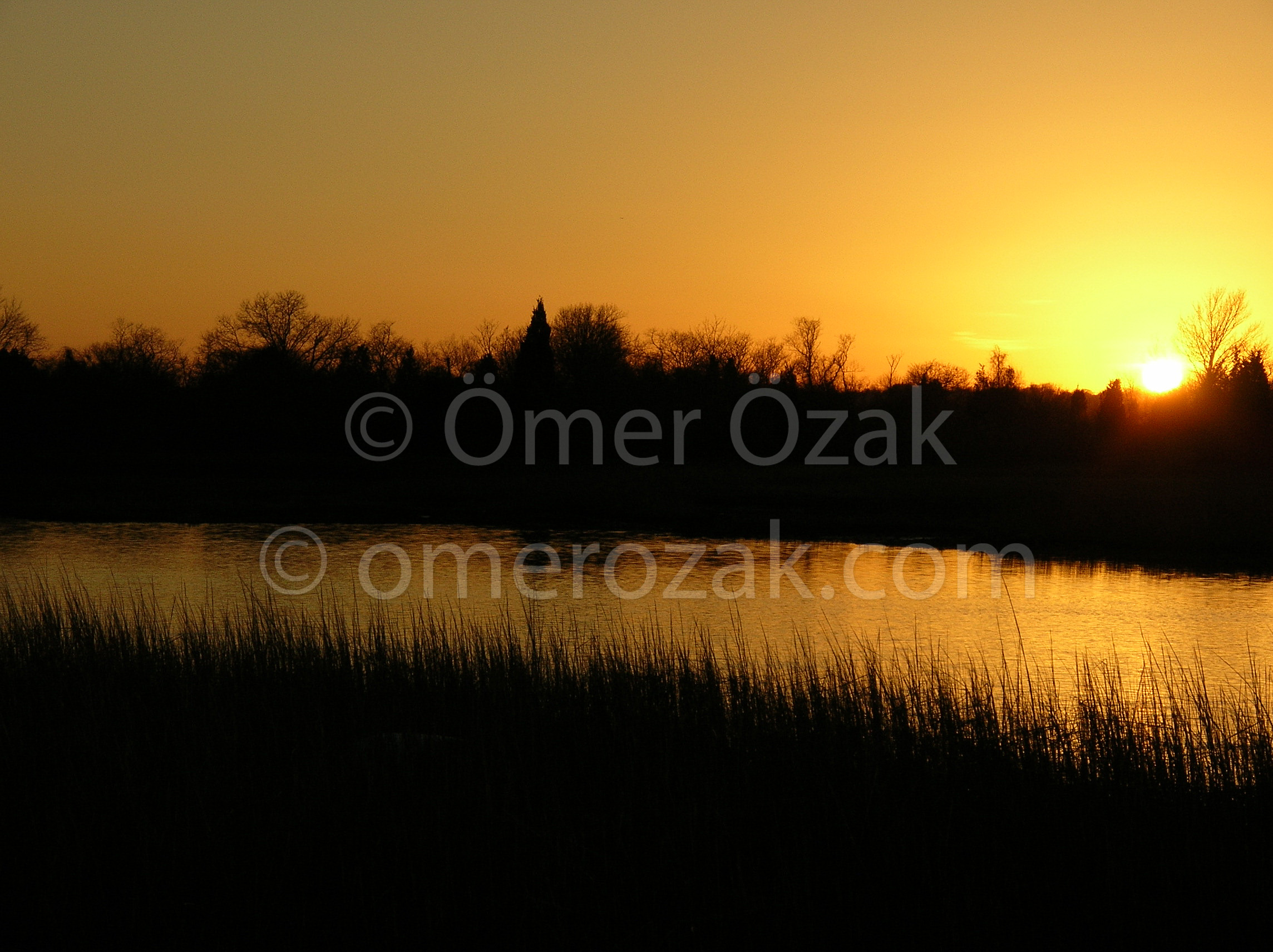 Lake